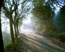 2005: Parc de Collserola (Barcelona)